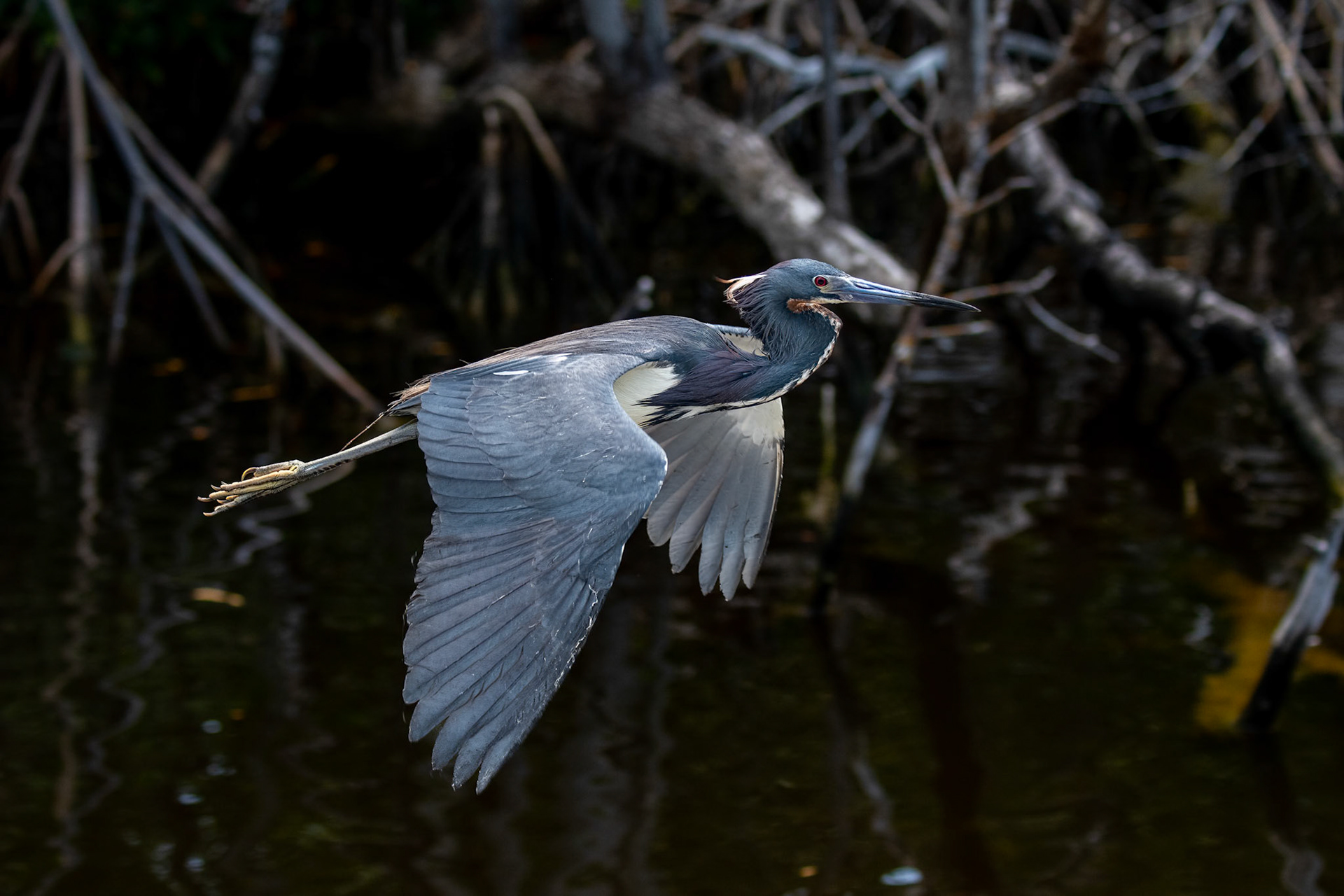 Everglades National Park, Florida