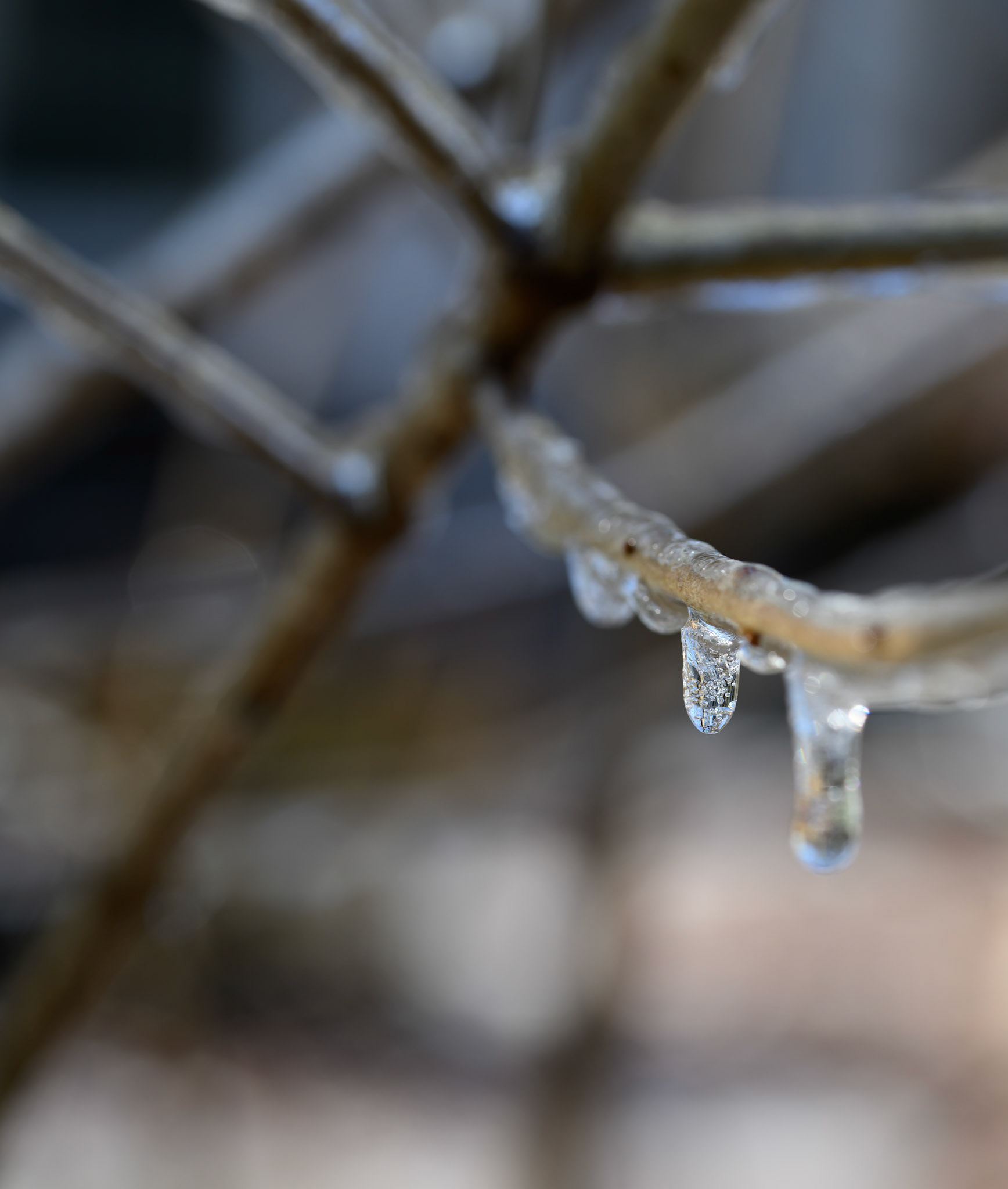 Icicles