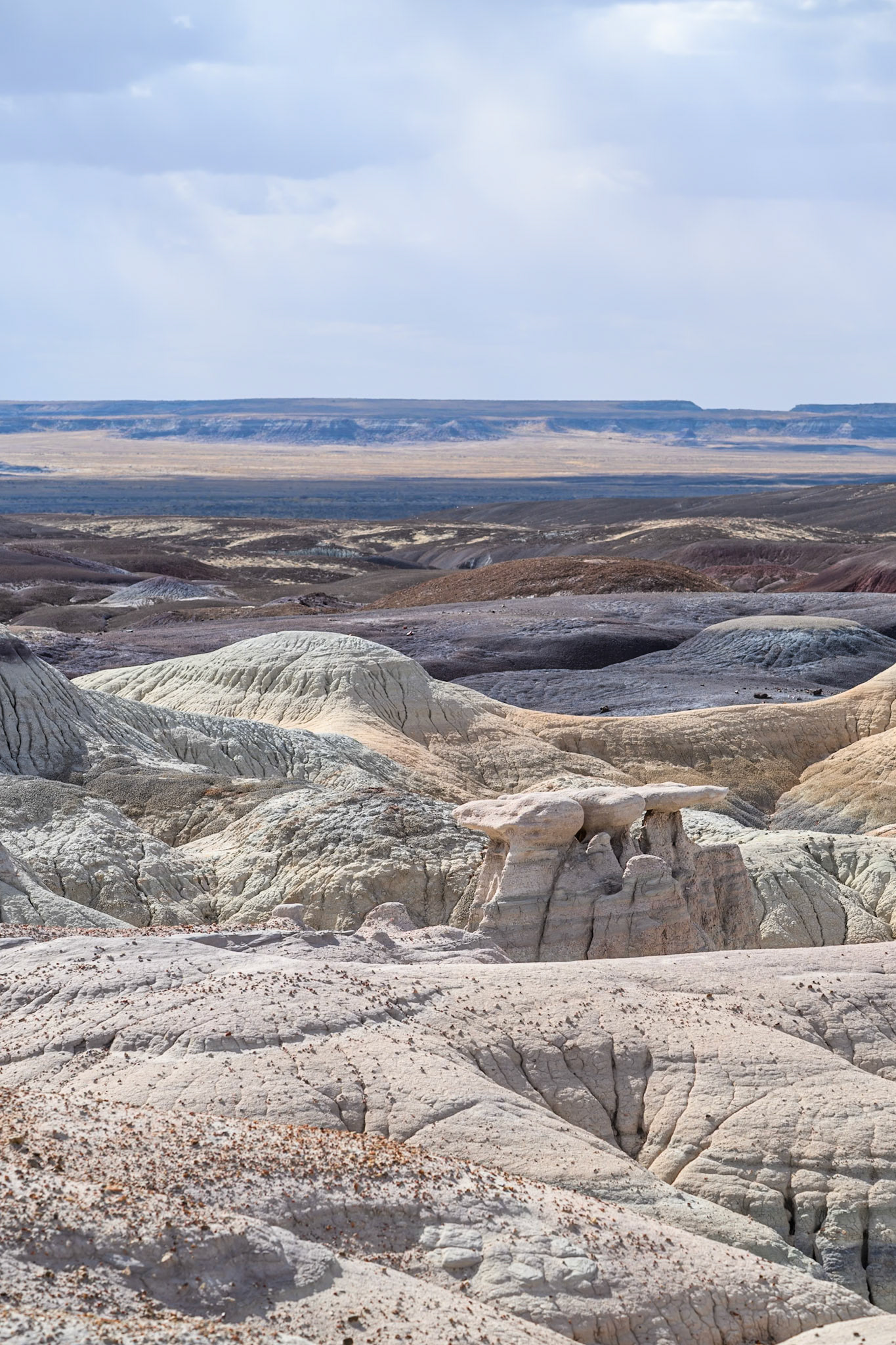 Petrified Forest National Park, Arizona