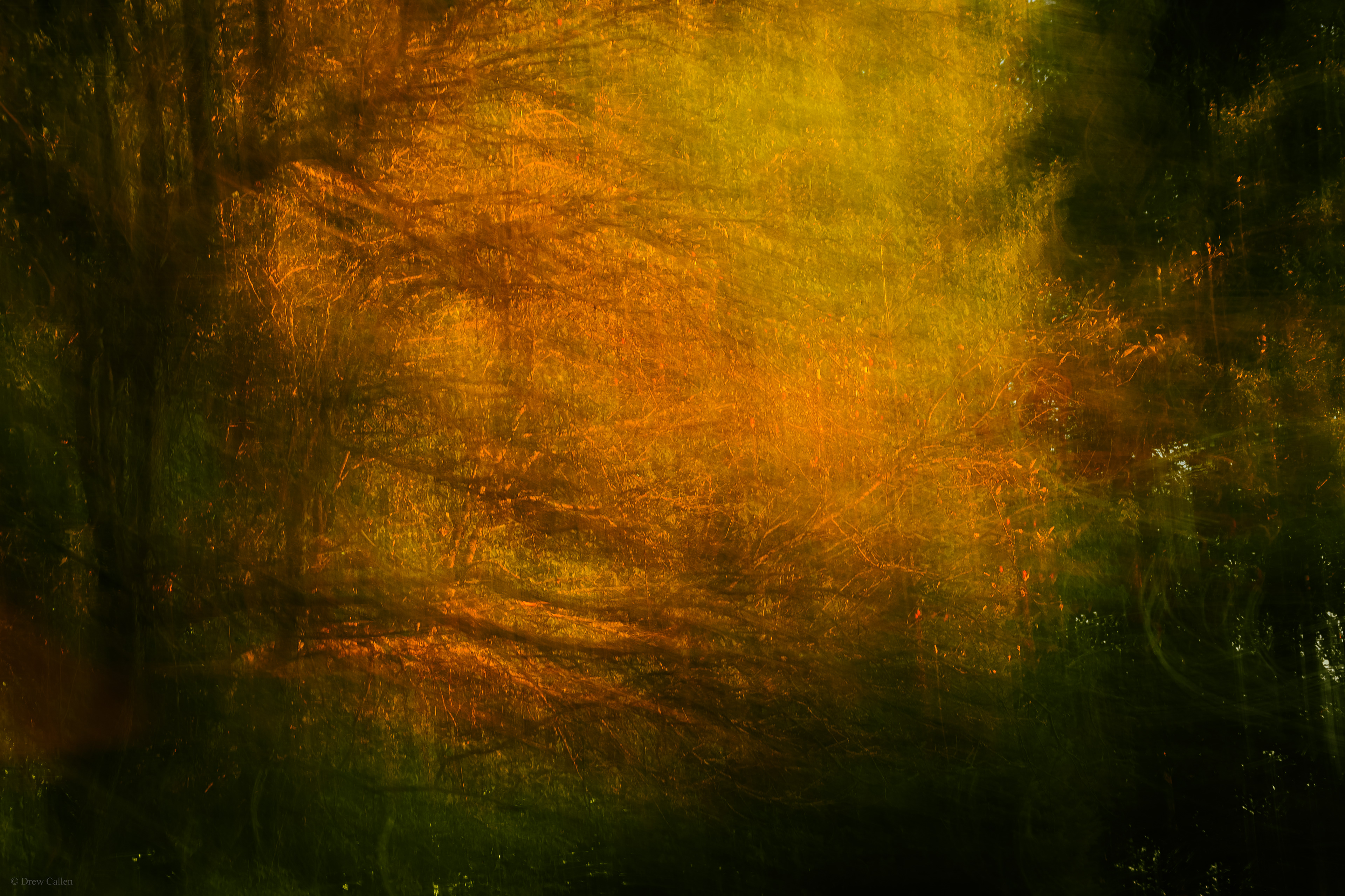 09/10/2025, Digital Photograph
