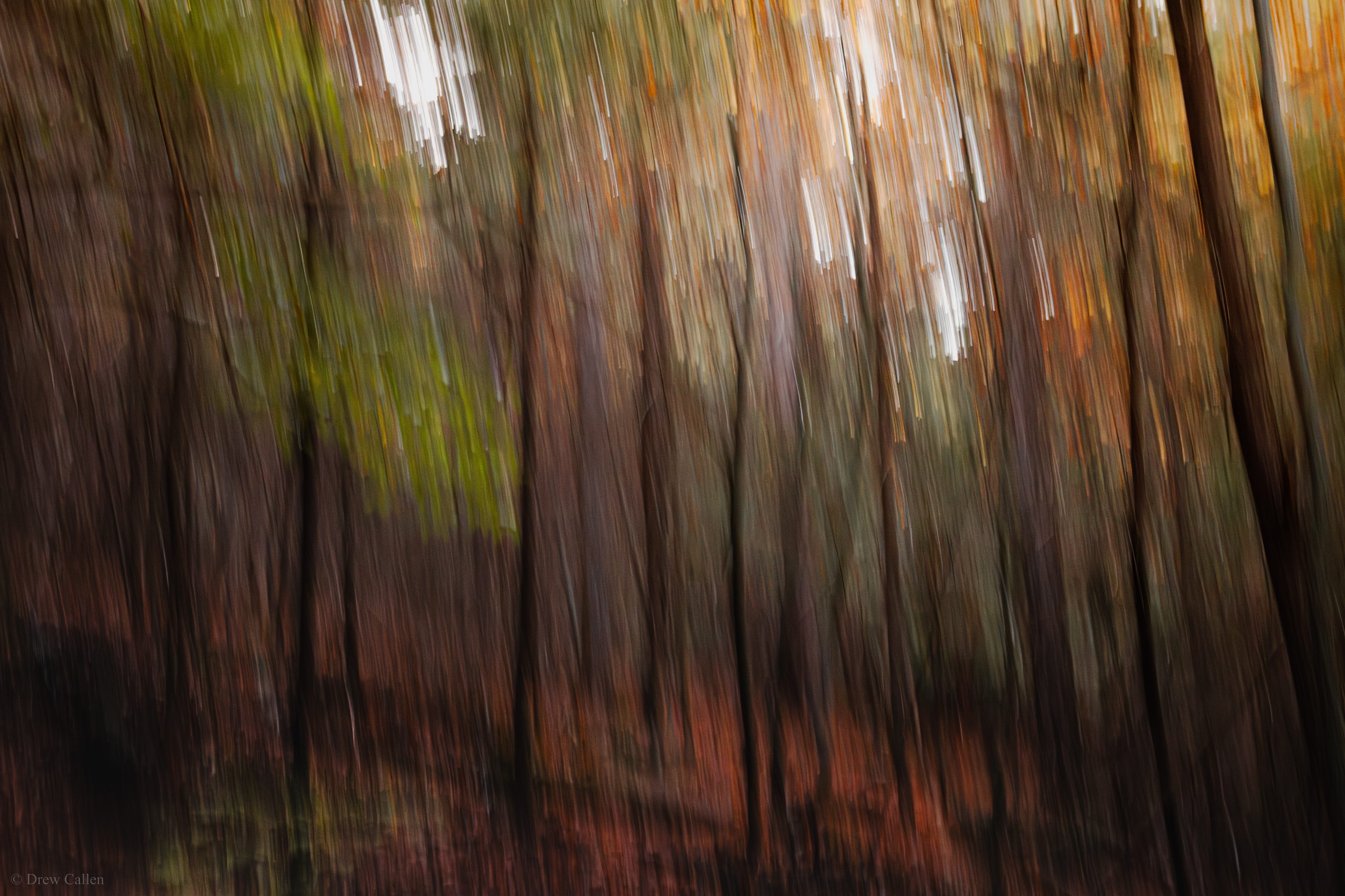 10/11/2025, Digital Photograph