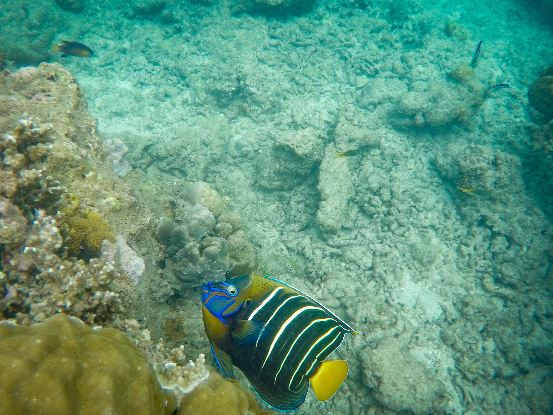 This guy had a really odd personaliy, we kind of became friends for a while