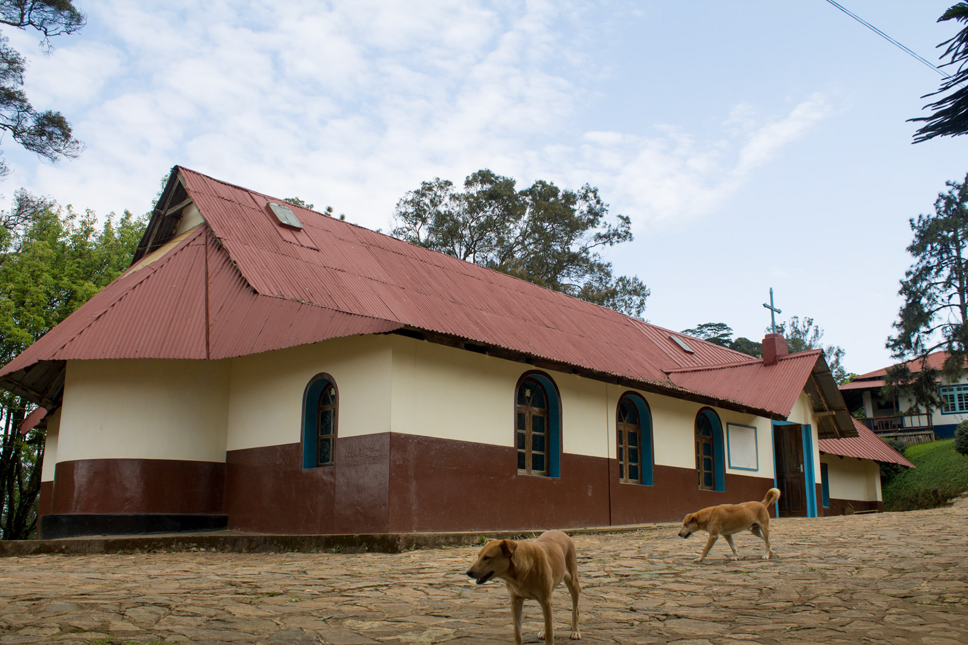 Local church by the mental hospital (and our two lovely guarddogs Bernard and Bianca), Lutind