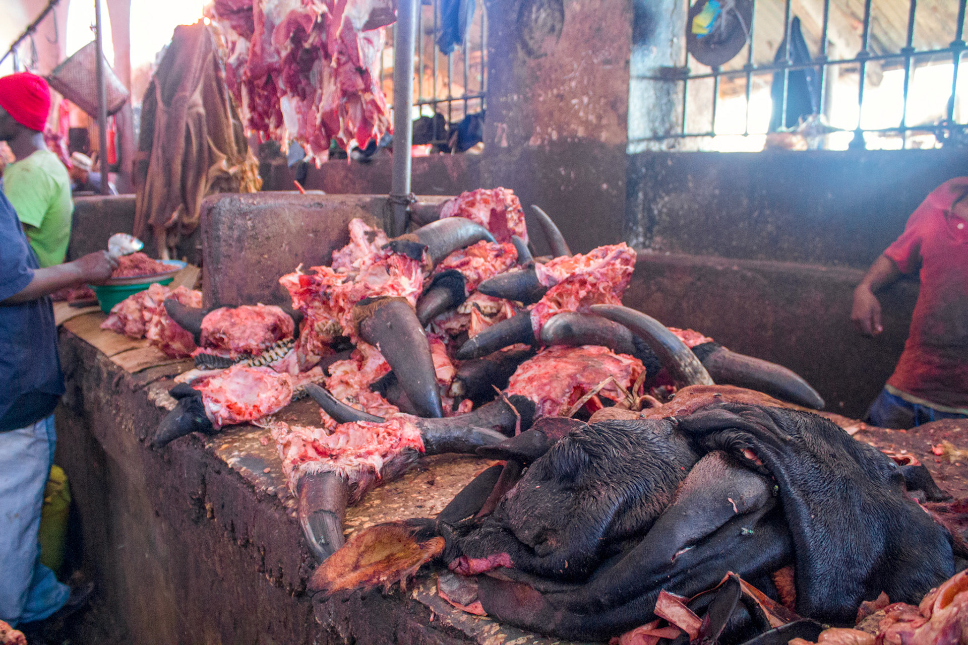 Buffalo scalps at the Darajani Market in Stone Town, Zanzibar