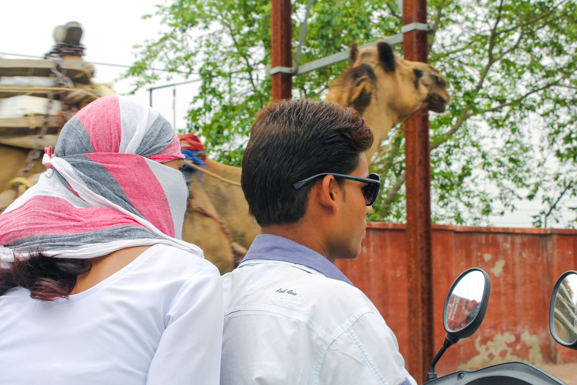 Fashionable contrasts, AGRA