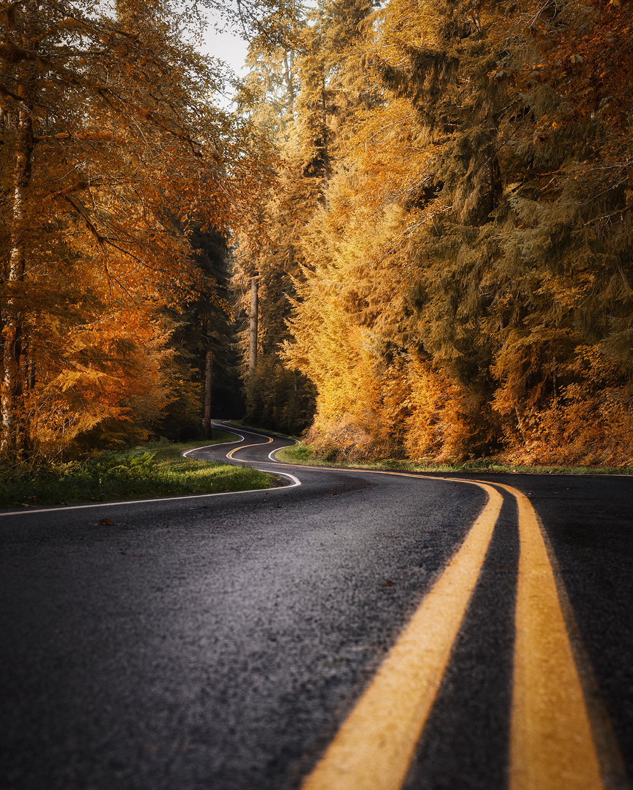 Roads to adventure