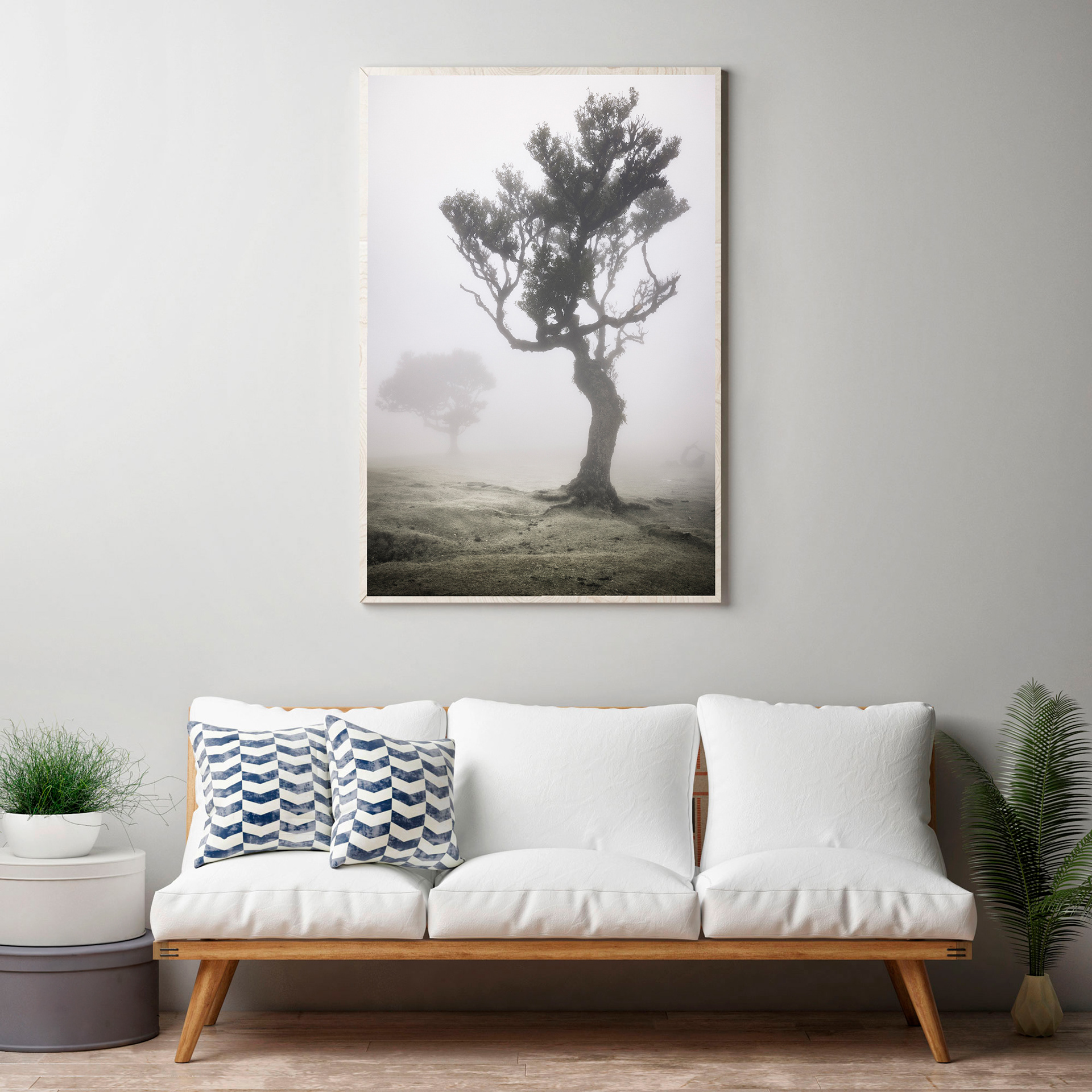 Fotokunst fra Madeira med tåget skov som vægkunst. Mystisk natur og stemning.