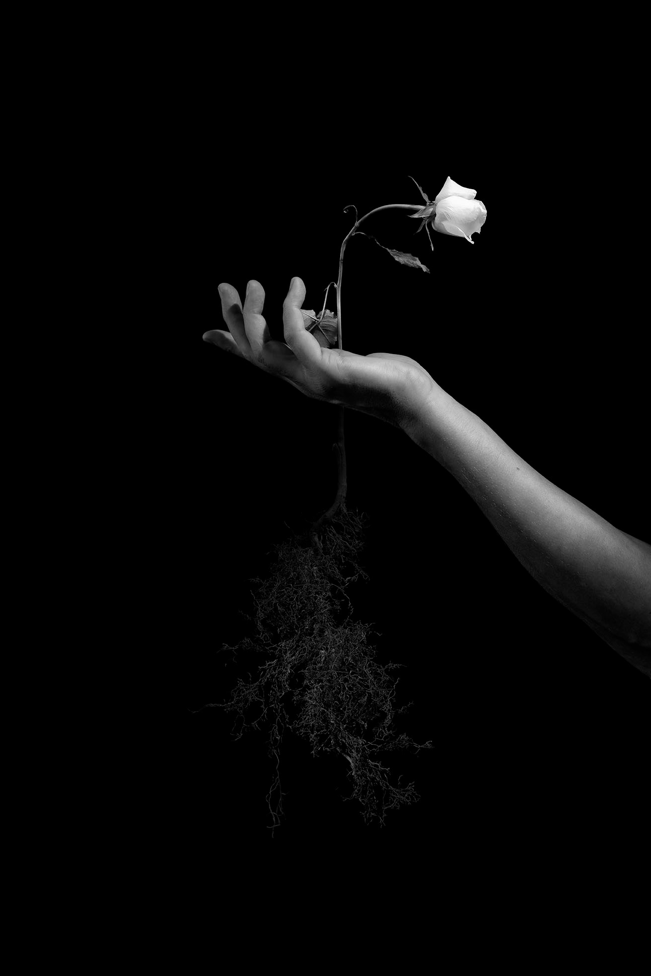 If we take care of her, maybe she’ll forgive us. If we learn to listen, she’ll give us back what we lost.