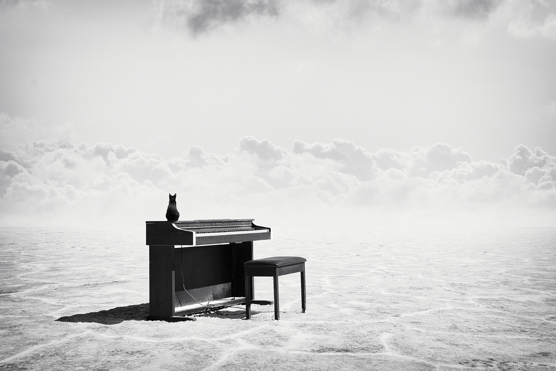 Play it again,  no one’s listening anyway.