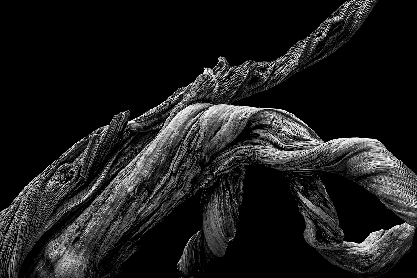 Odd wood