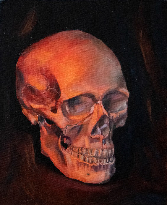 Skull study, Oil on canvas, 2022