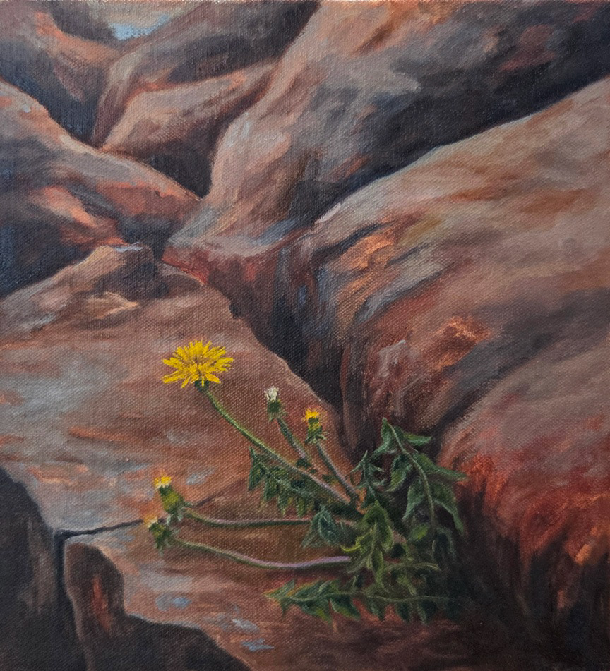 The Opportunist, oil on canvas, 24x22 cm, 2026