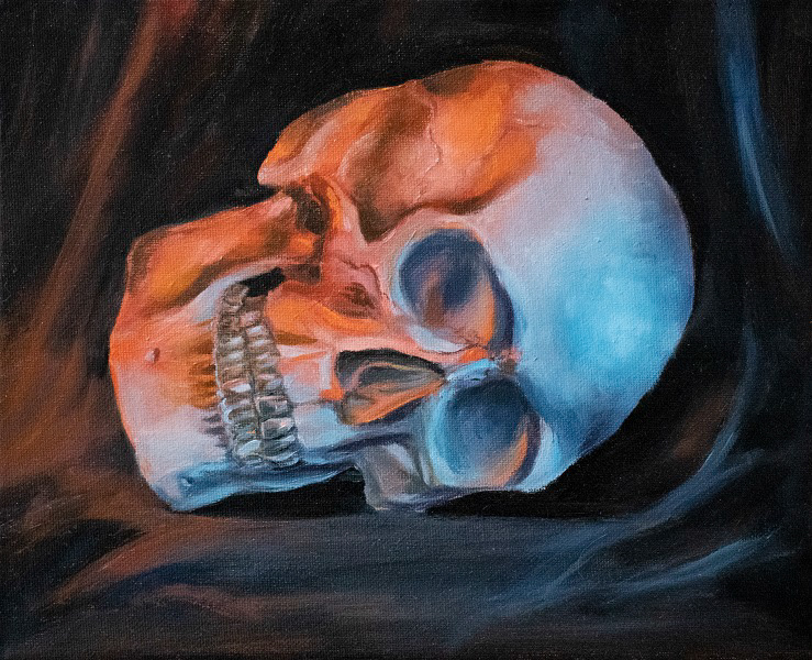 Skull study, Oil on canvas, 2022
