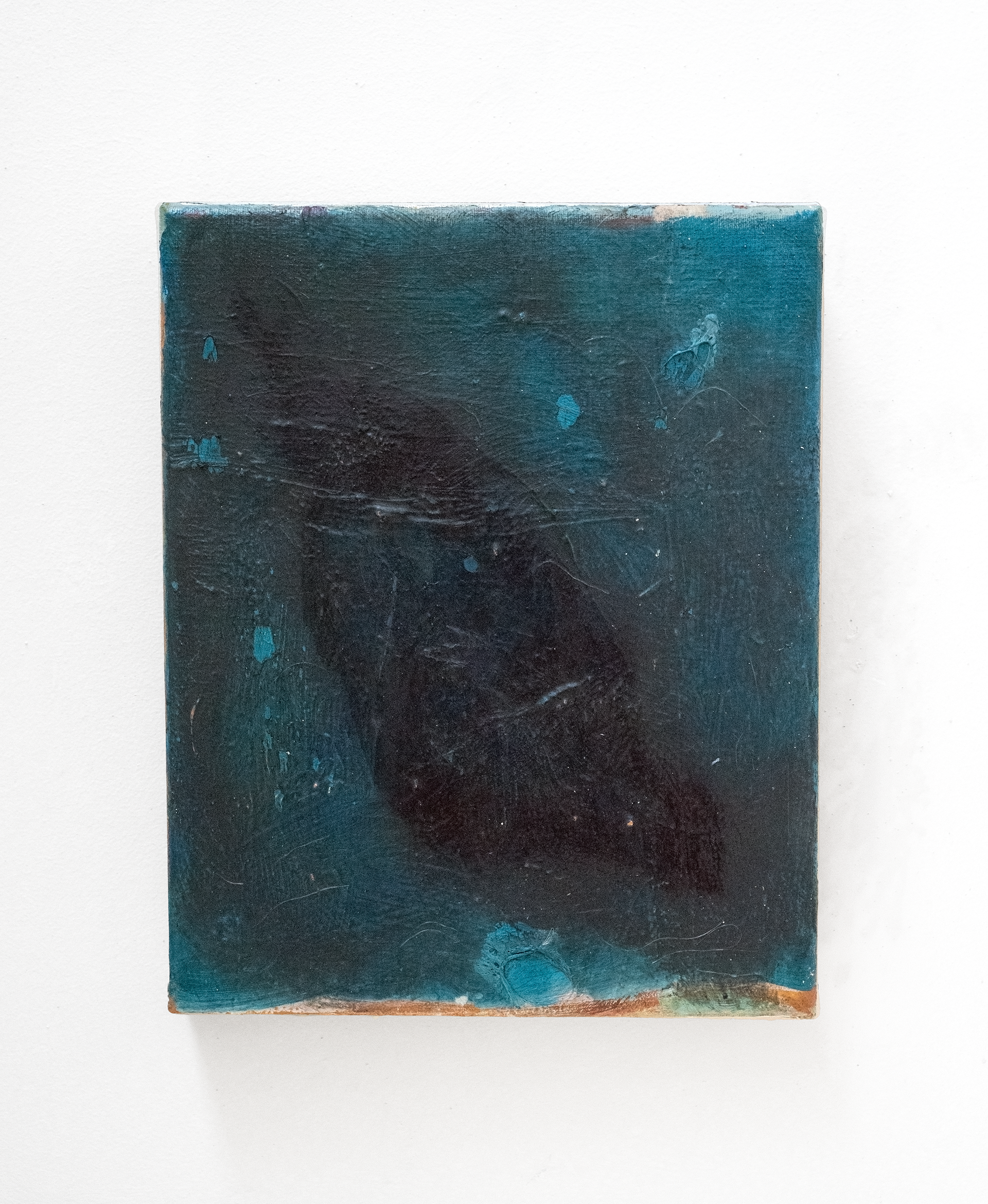 'Physeter' 24 x 30 cm