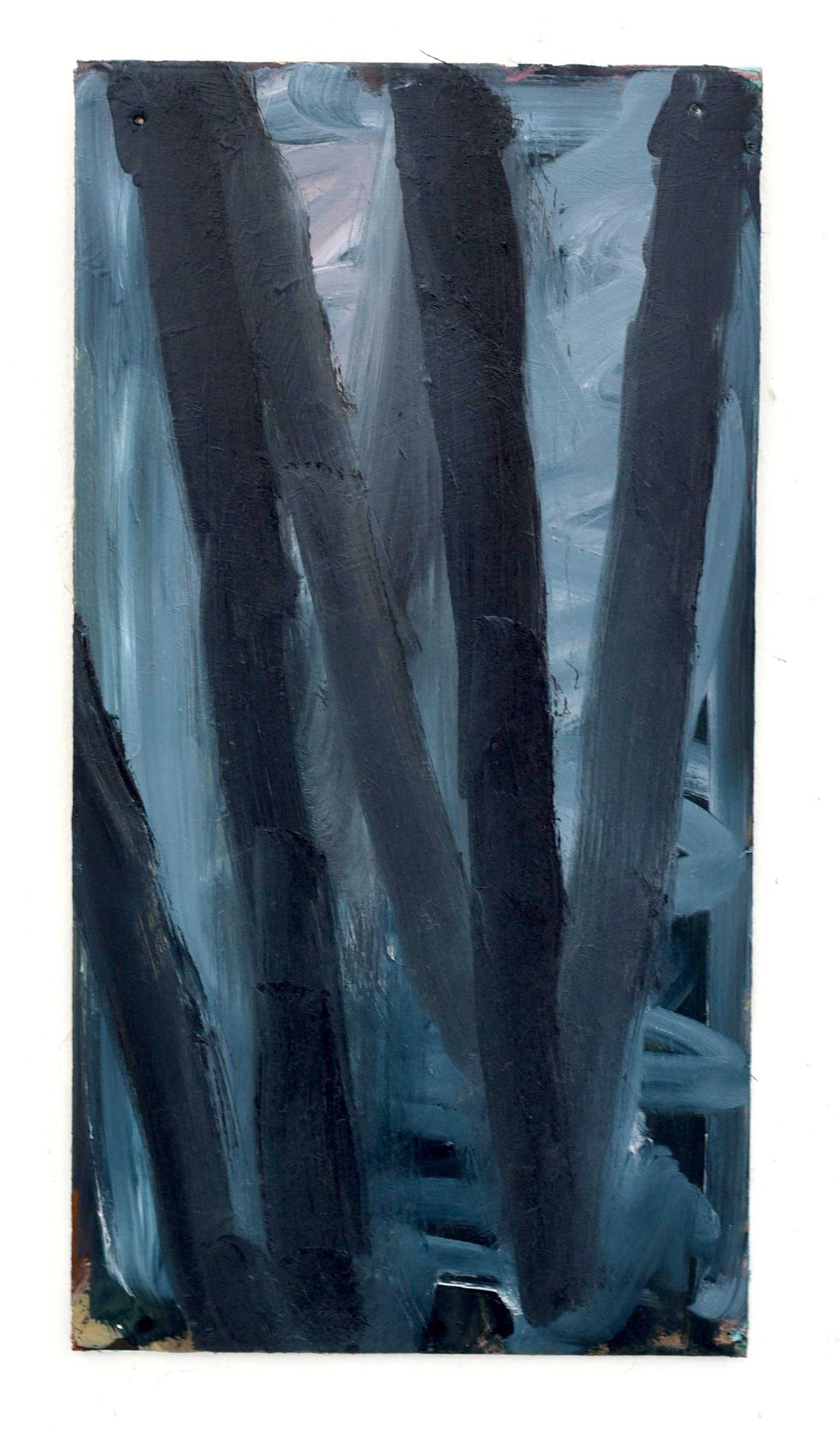 'FOMO-18' 30 x 60 cm