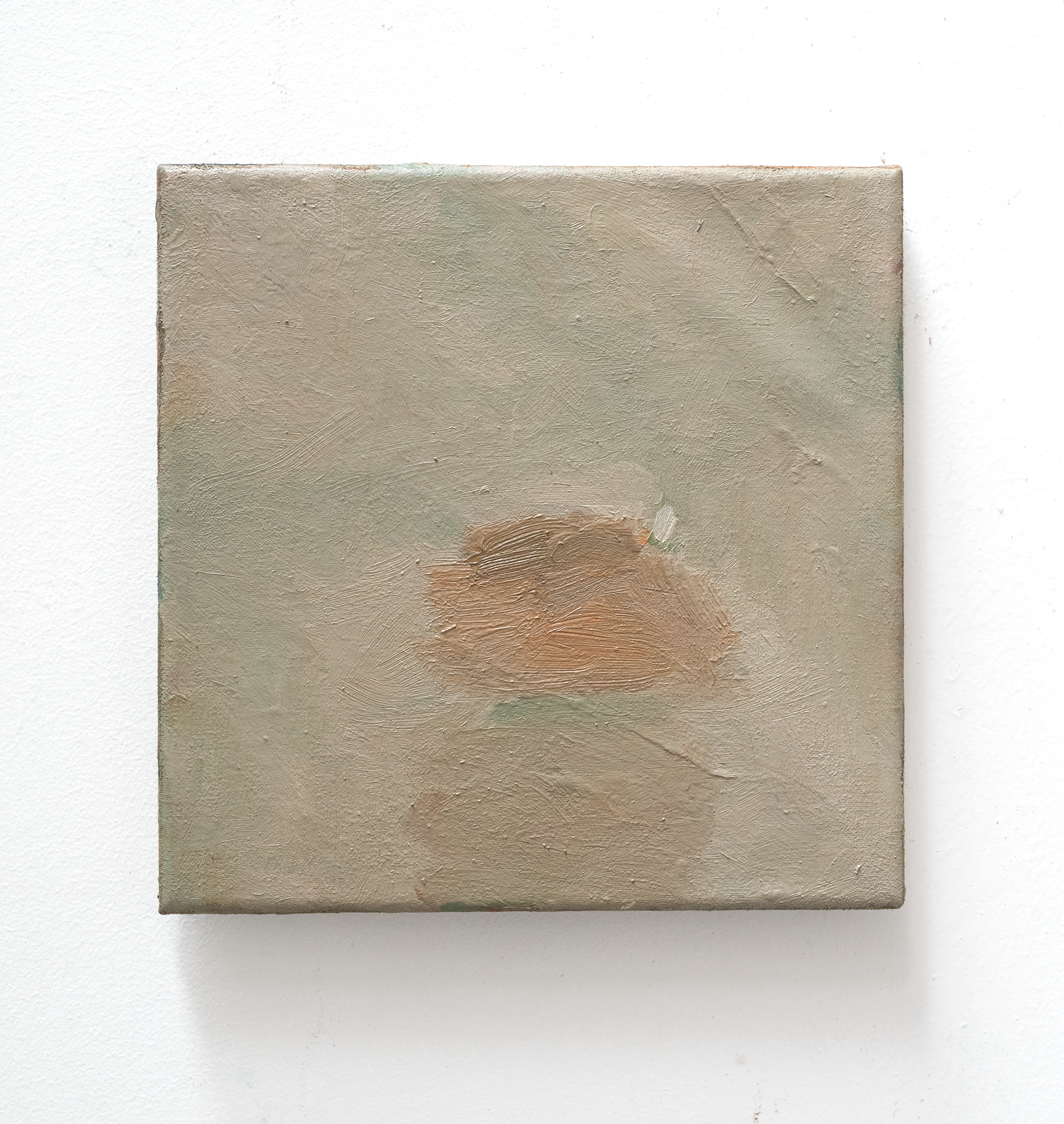 'Glimp' 20 x 20 cm