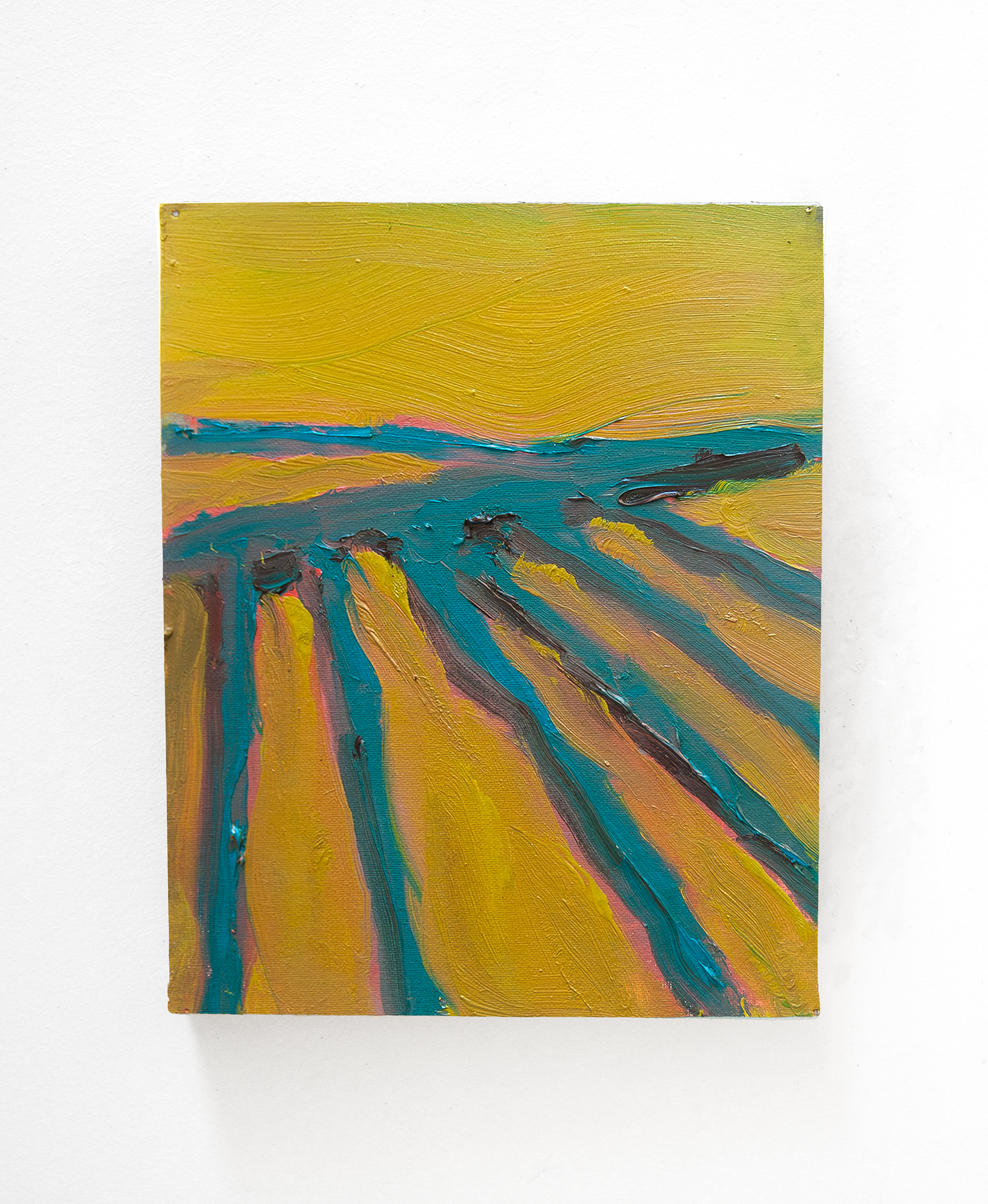 'Paulatem 5 van 5' 24 x 30 cm