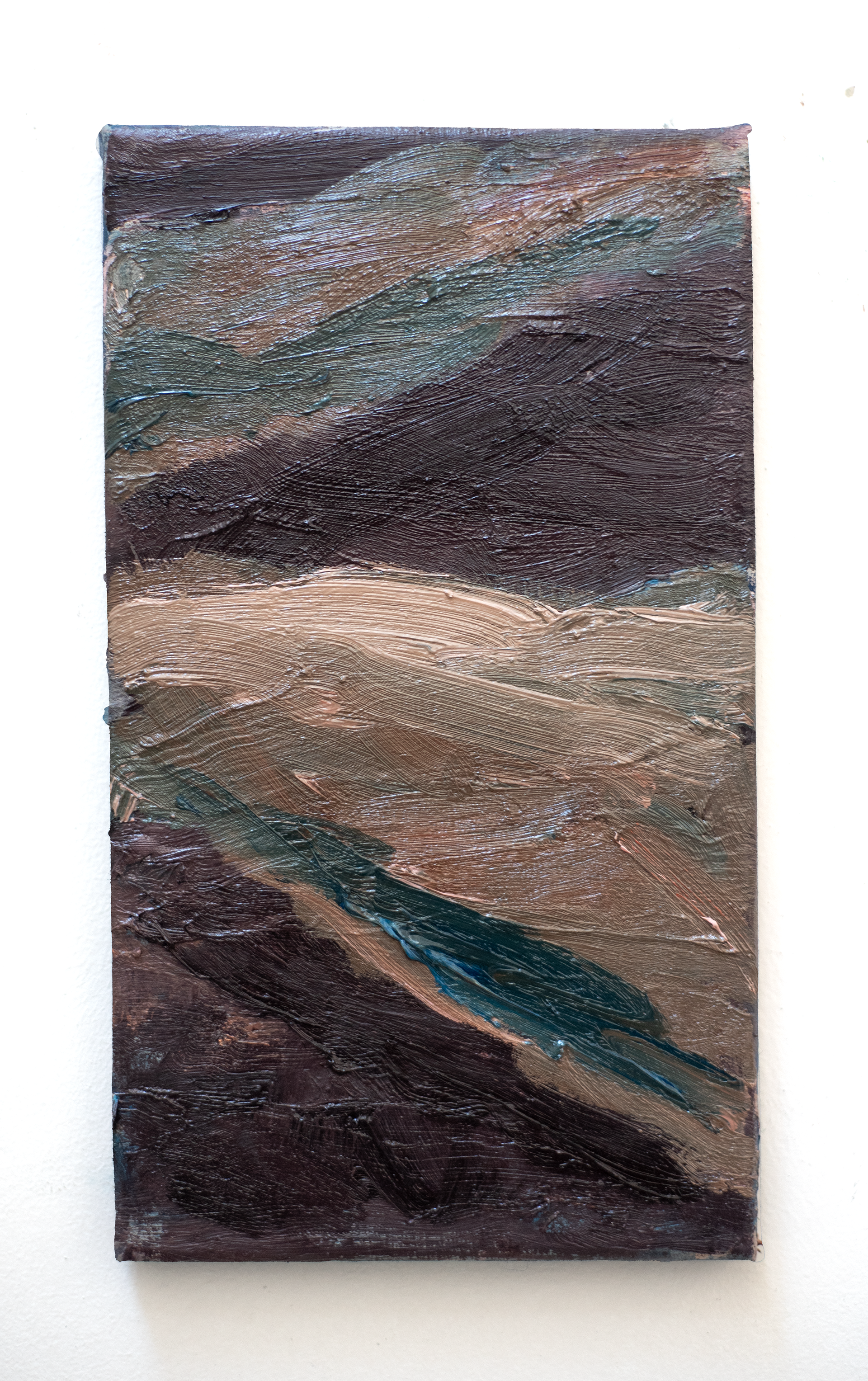 Untitled 18 x 32 cm