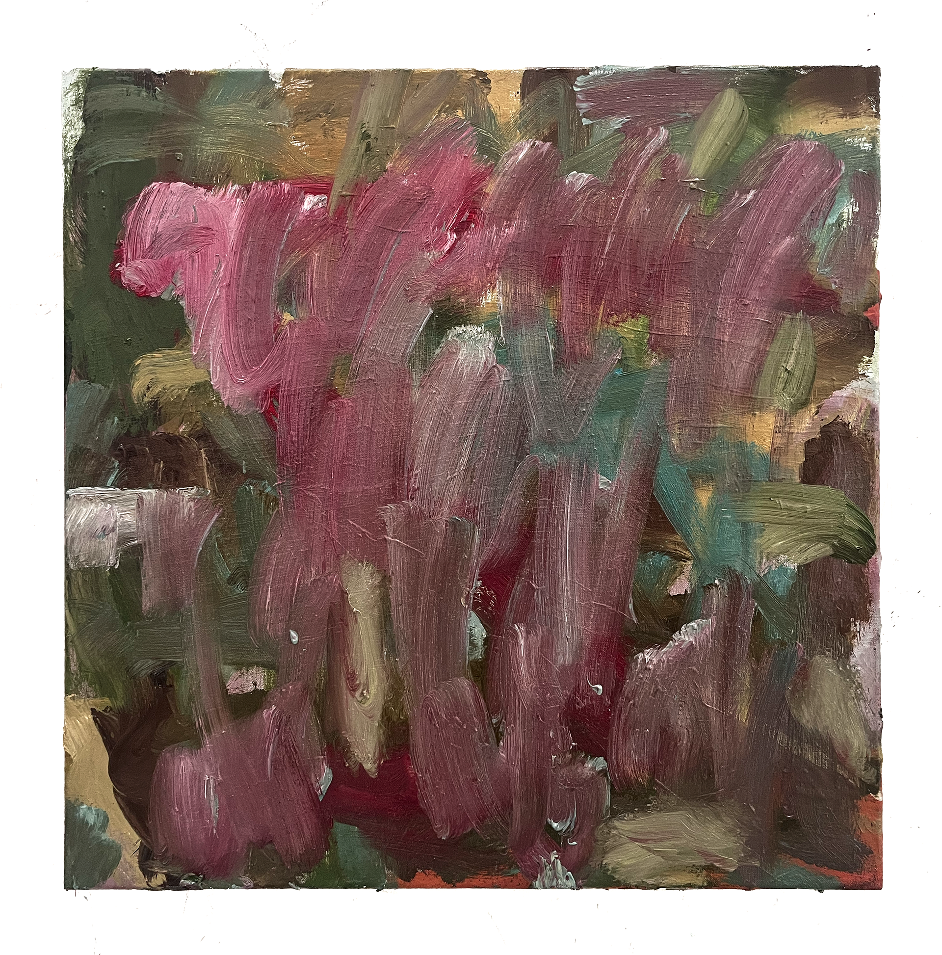 'SARDA' 50 x 50 cm
