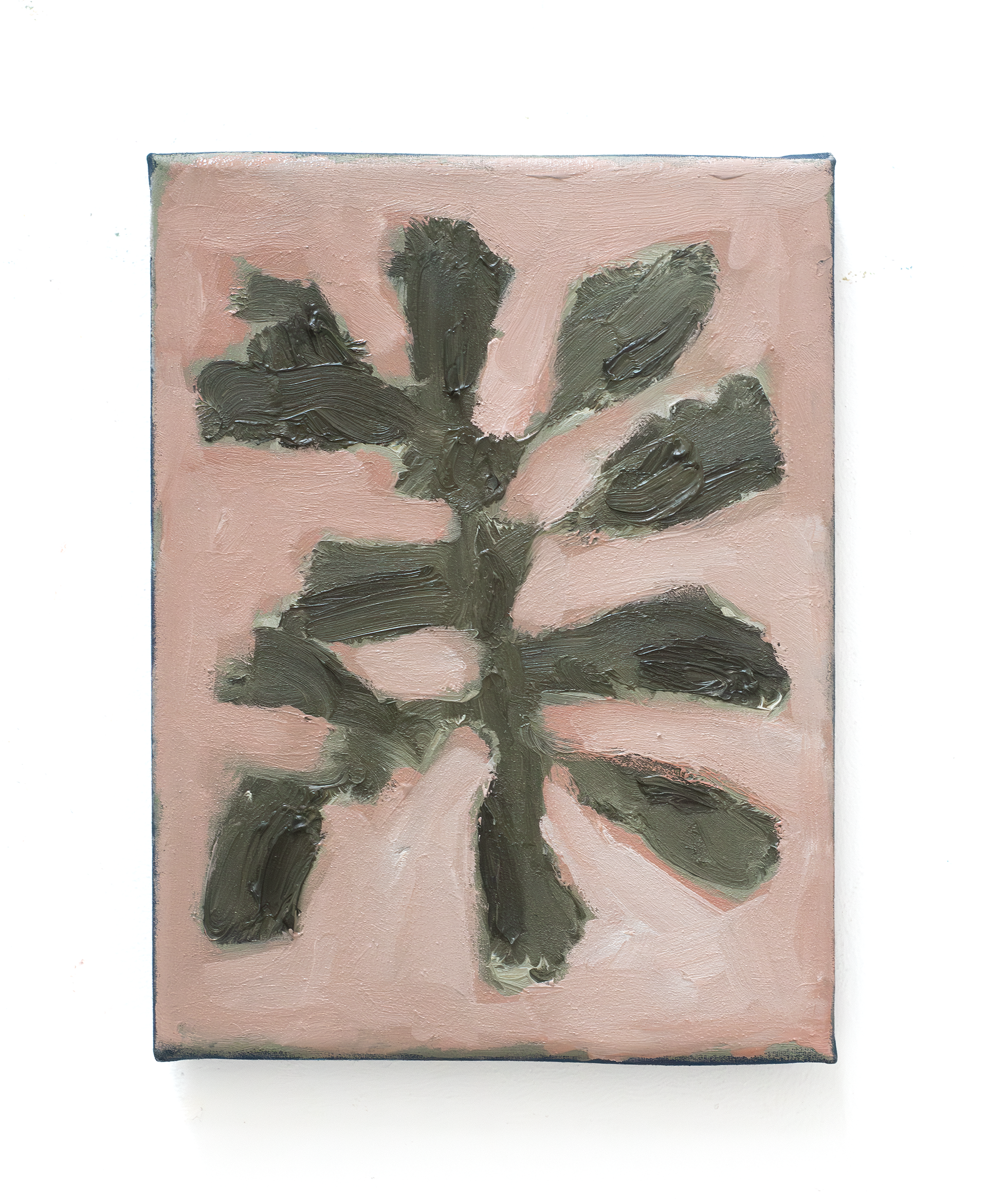 'Zimmerplanze' 18 x 24 cm