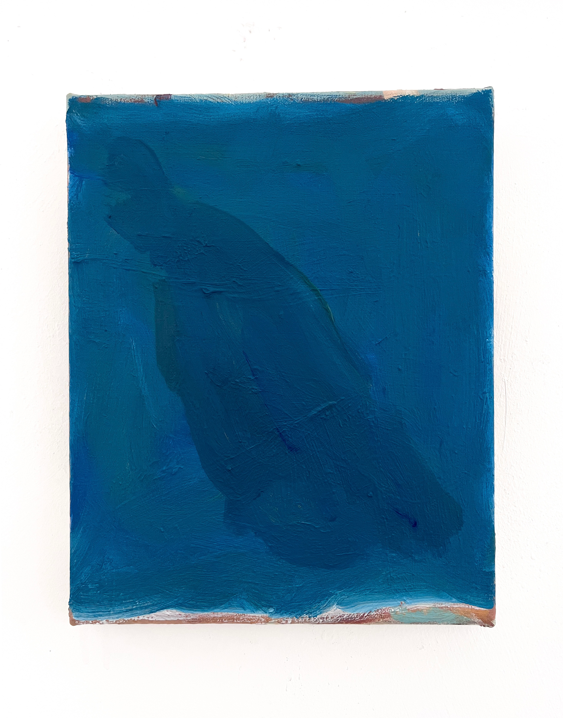 'Physeter' 24 x 30 cm