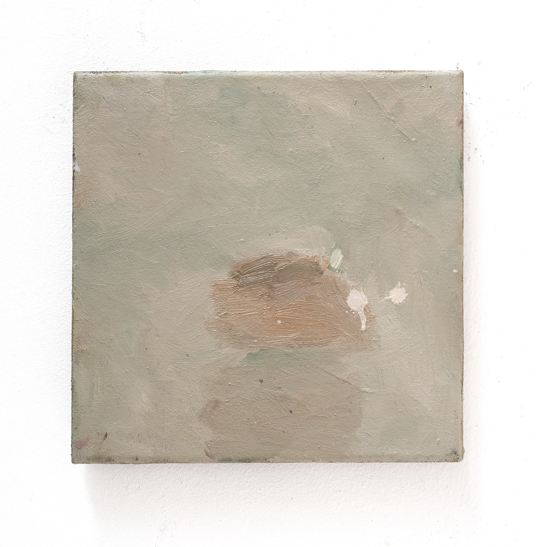 'Glimp' 20 x 20 cm
