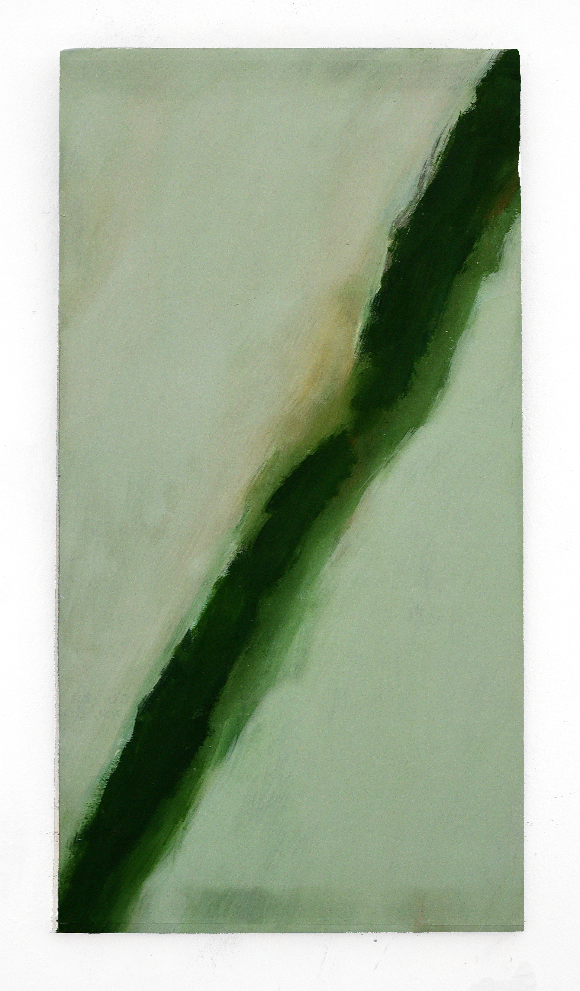 'FOMO-14a' 30 x 60 cm