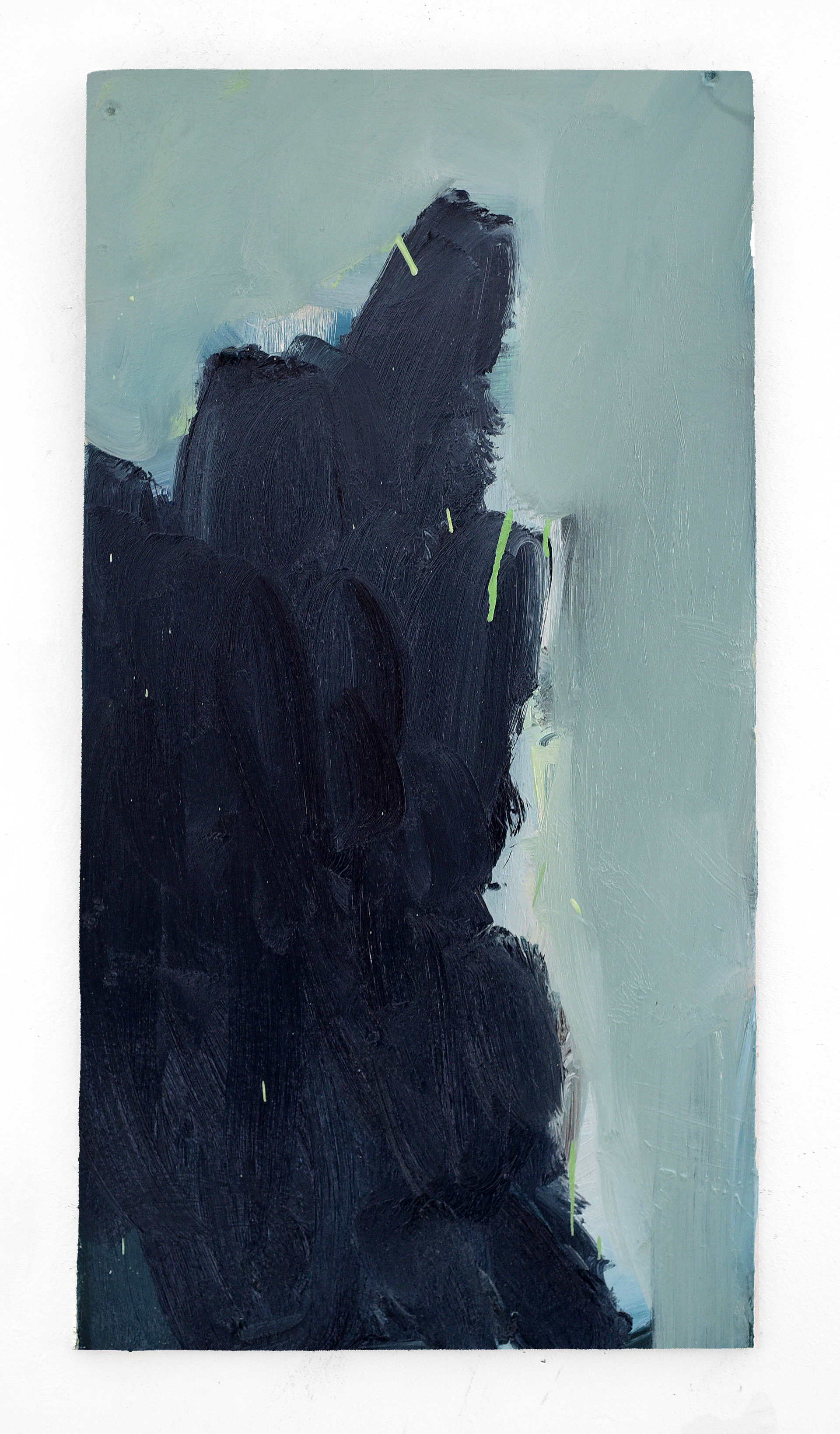 'FOMO-17' 30 x 60 cm