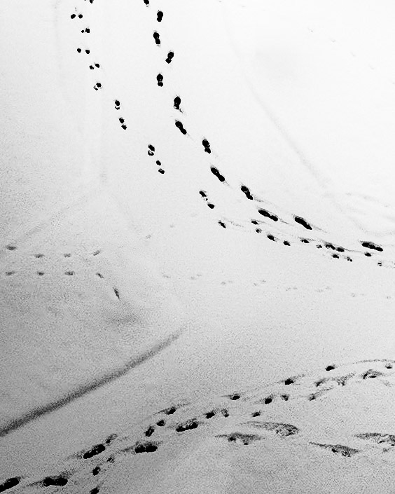 Footprints
