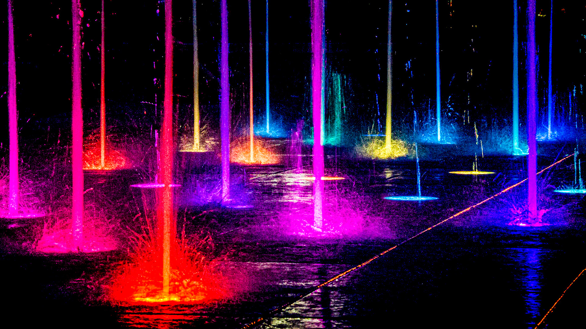 Savannah Light Sabers