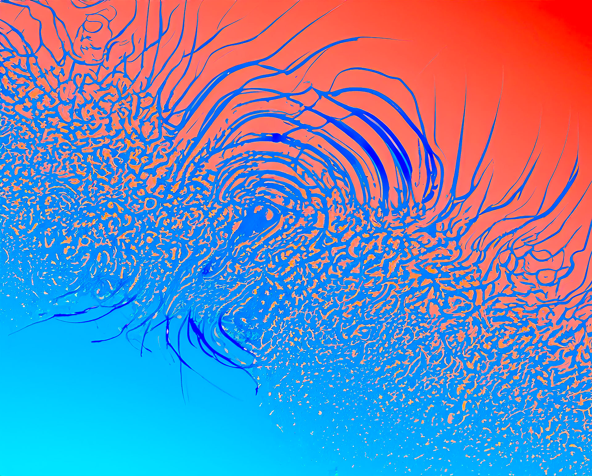 Orange to Blue Surf