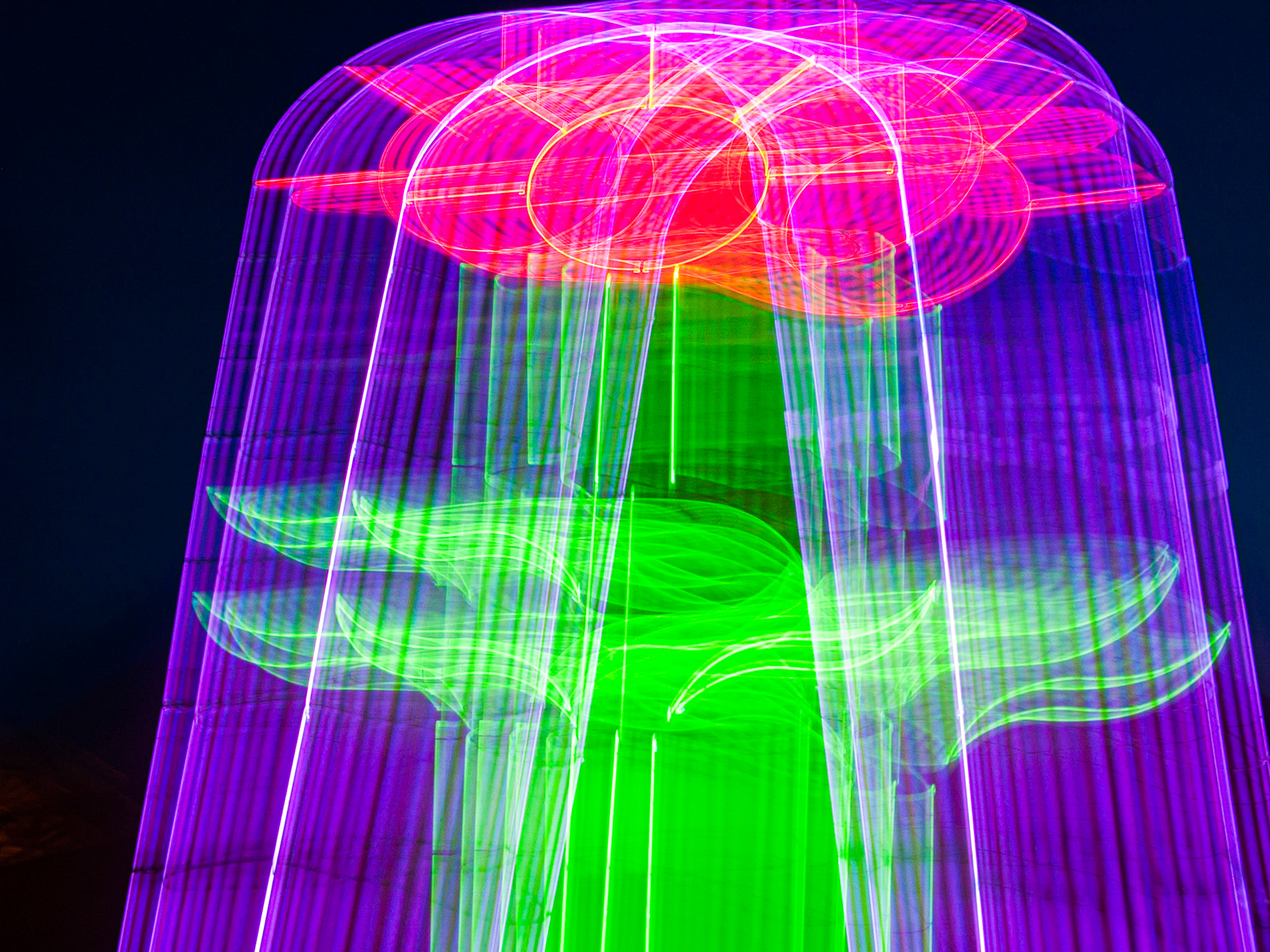 Aruba Neon #6