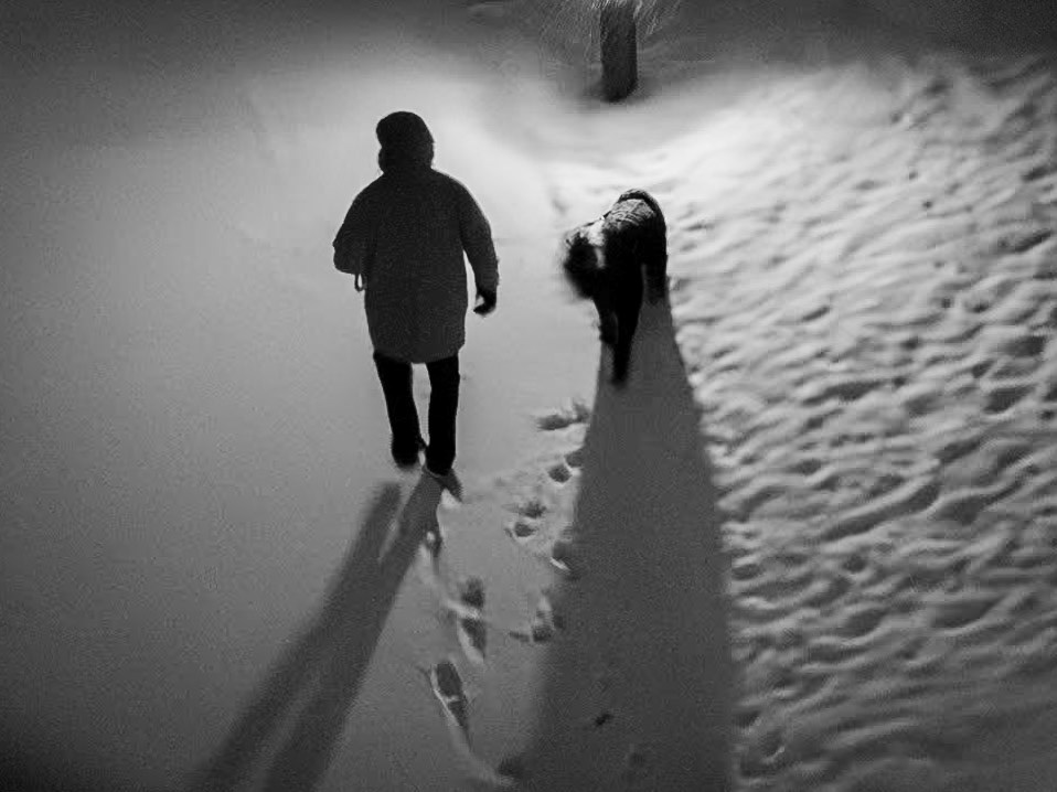 Dogwalker
