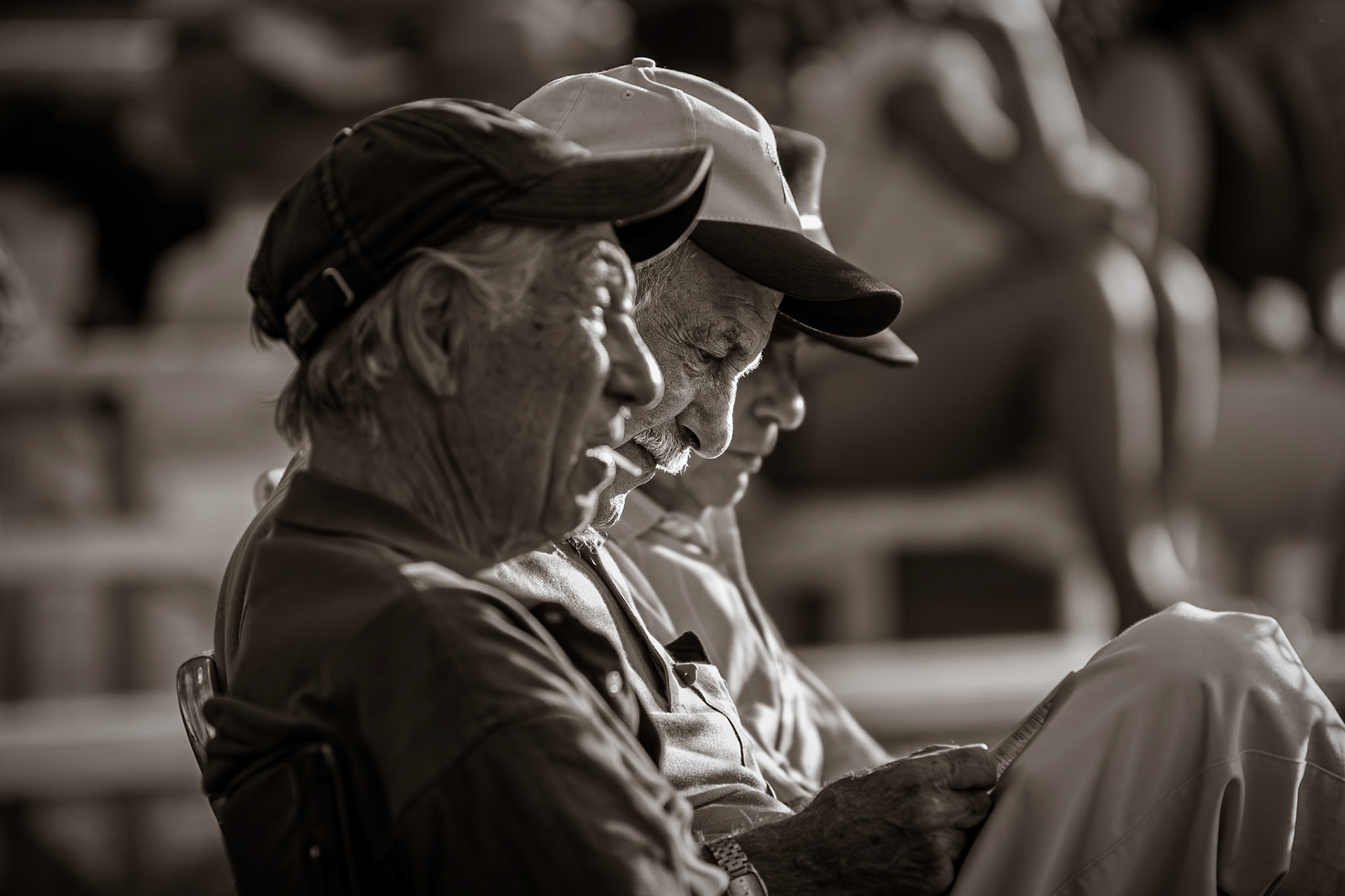 The Old Guys, Vienna Senators Baseball