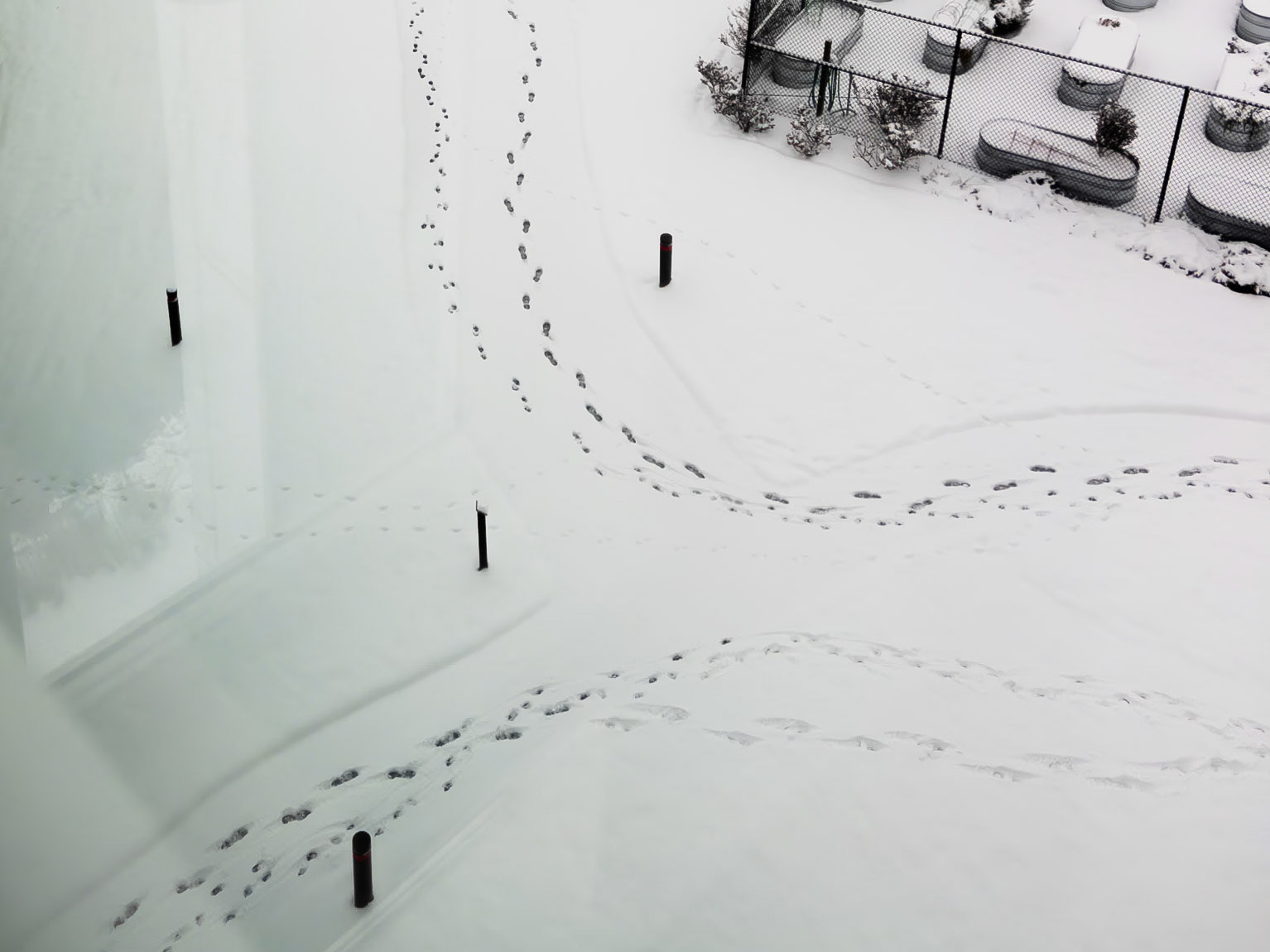 Footprints in the Snow