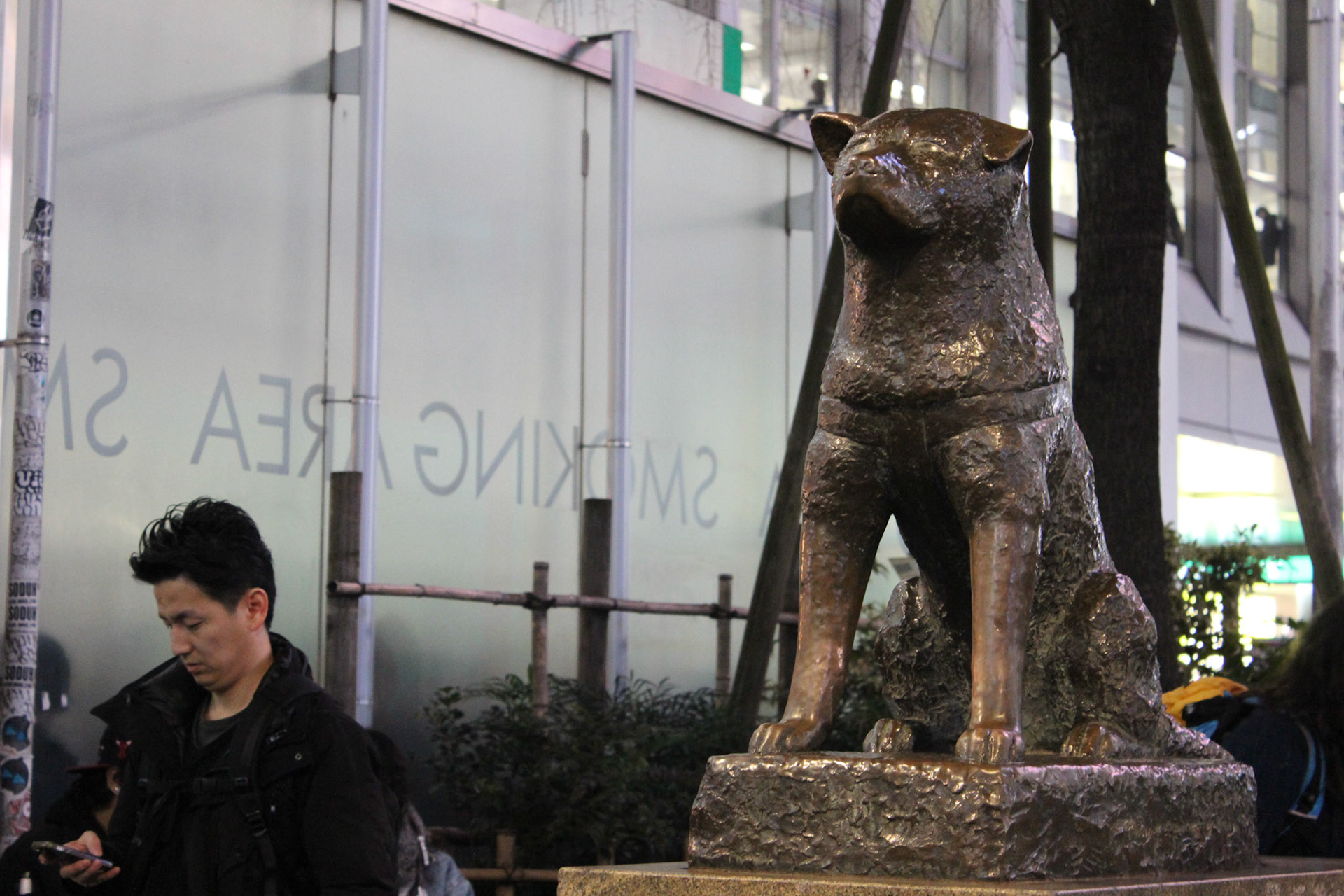 Hachiko statue, Shibuya, Tokyo, Feb. 2015