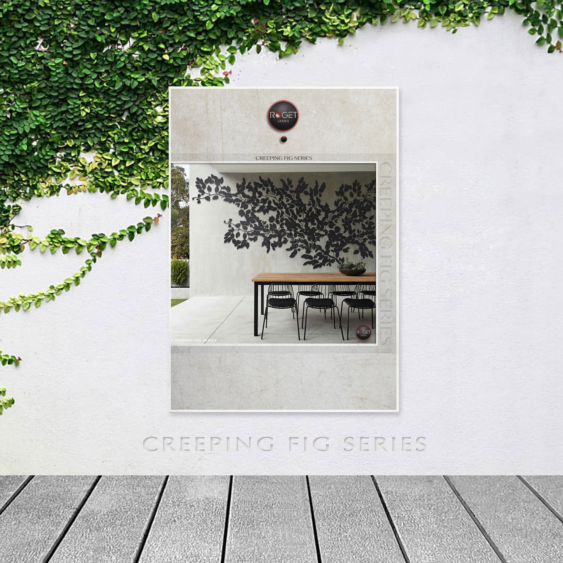 CREEPING FIG SERIES