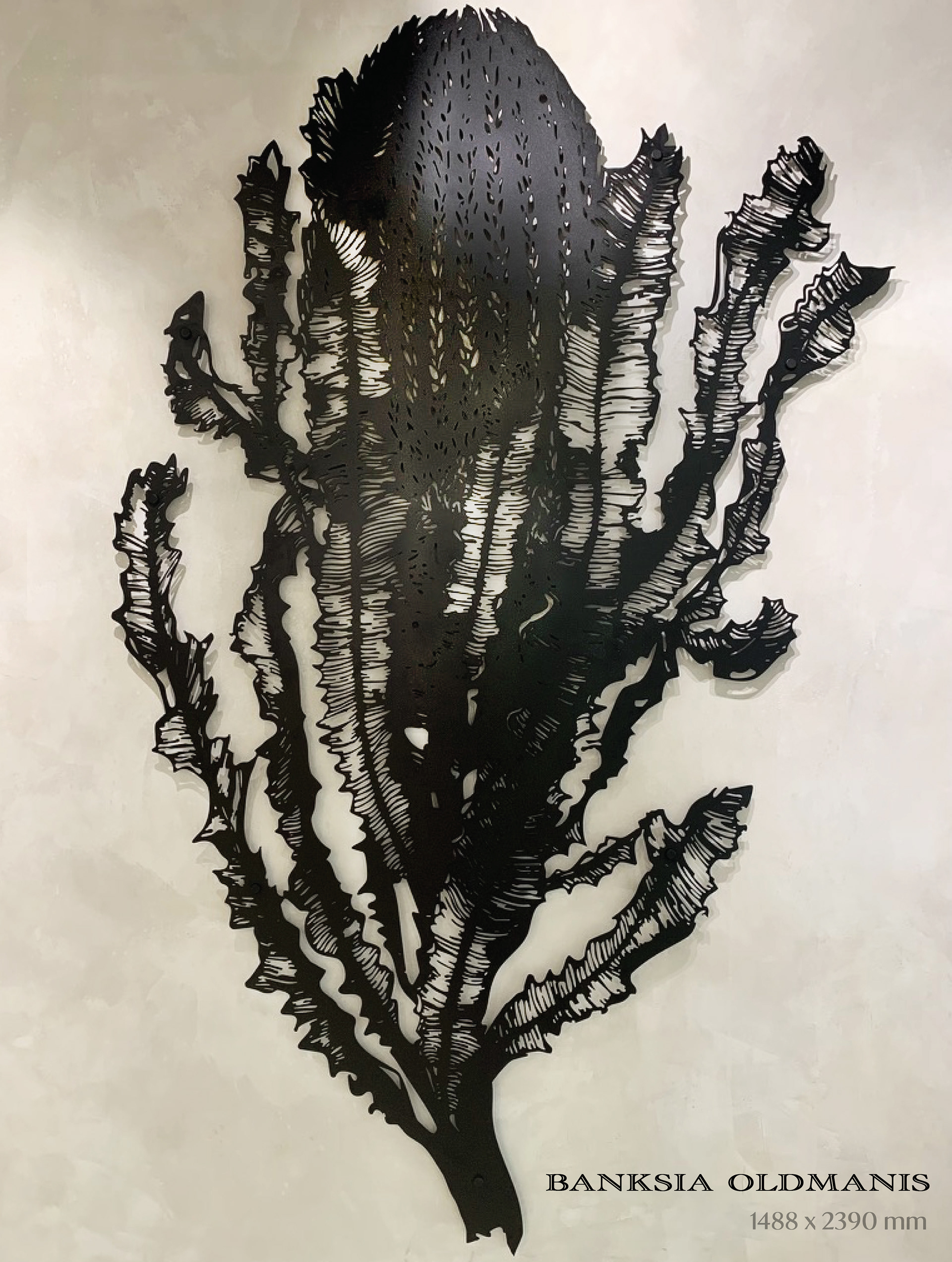 ON DISPLAY - HOMEBASE 