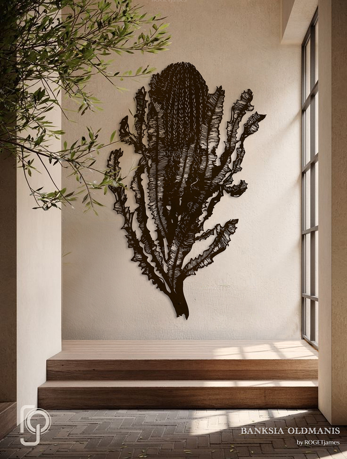 BANKSIA OLDMANIS