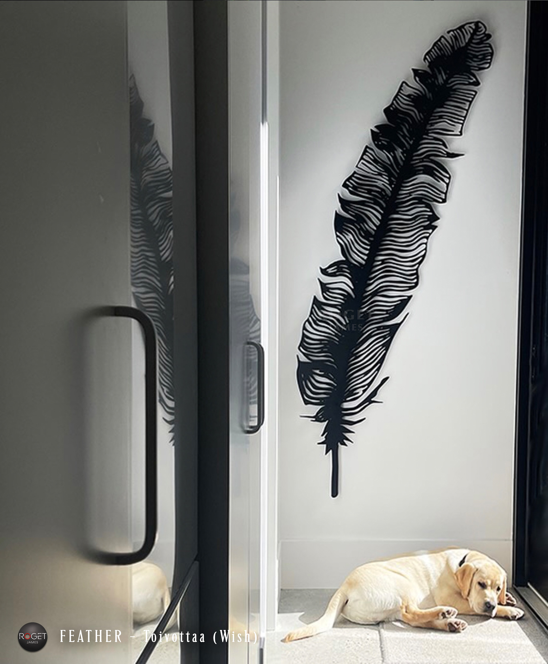 Plume/Feather - Toivottaa