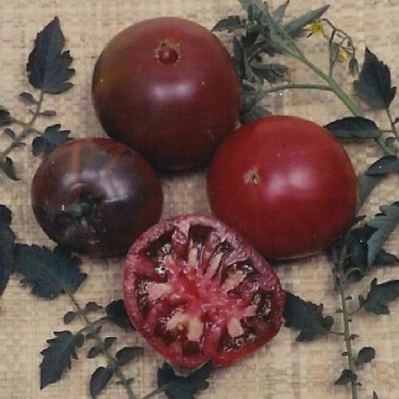Black Krim