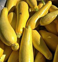 Straightneck Summer Squash