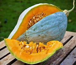 Hubbard Squash