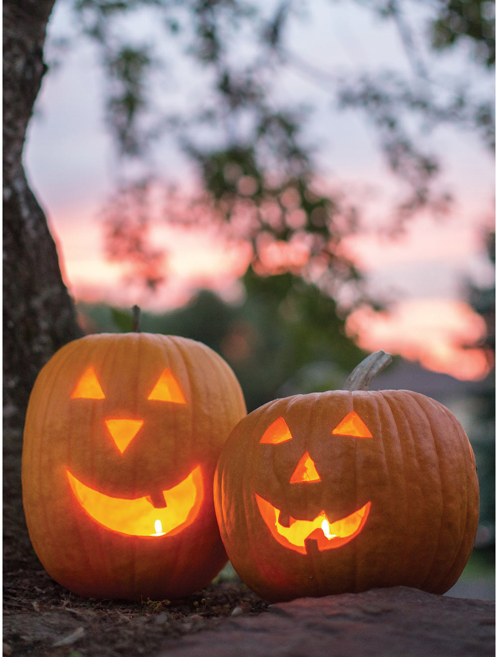 Jack O Lantern Pumpkin