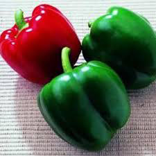 Sweet King of the North