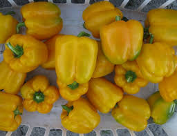 Sweet Fortress Yellow