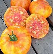 Big Rainbow Heirloom