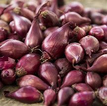 Red Onion Sets