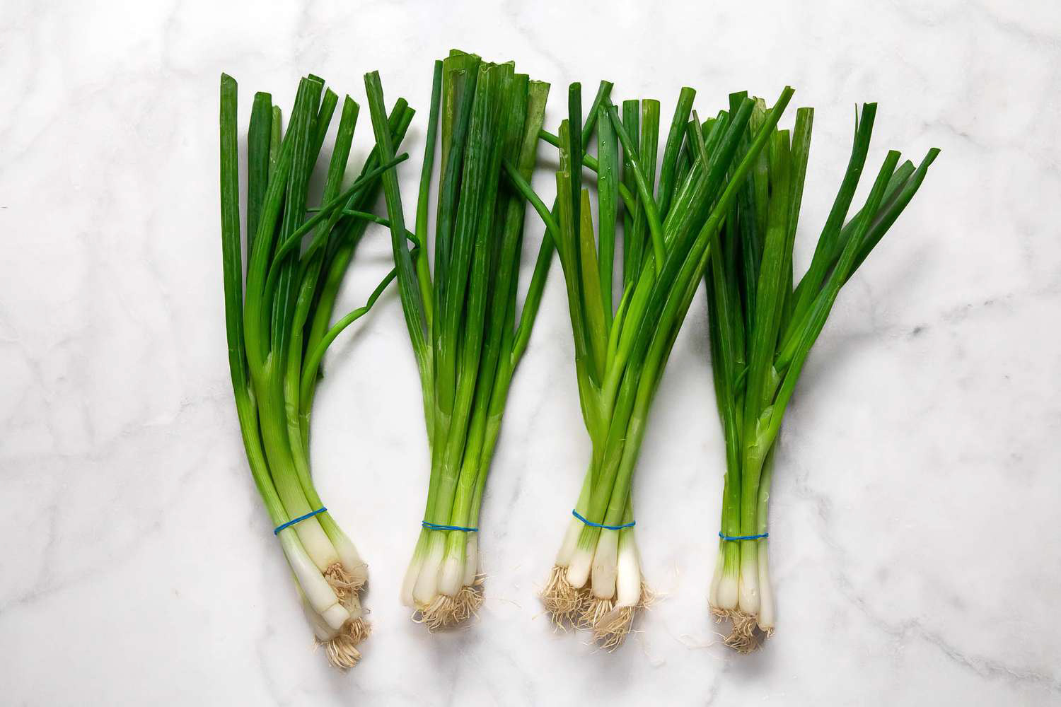 Scallion/Green Onion