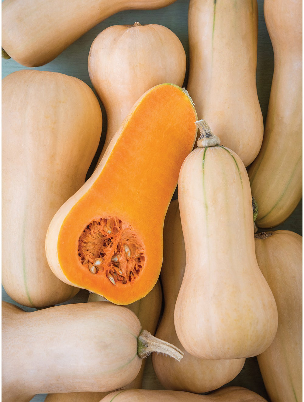 Butterbush Squash